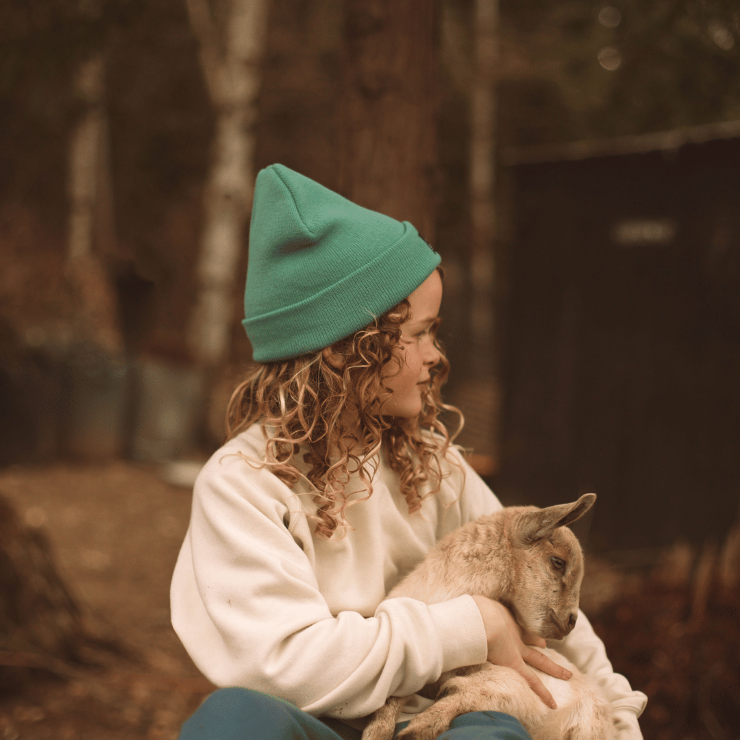 Wasatch Beanie - Mint