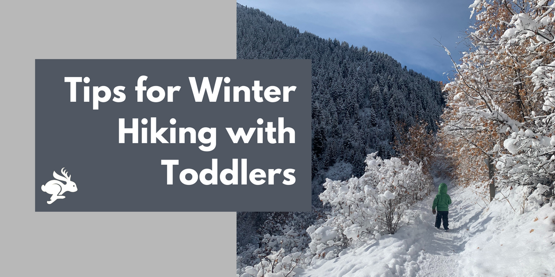 Tips for Winter Hiking with Toddlers