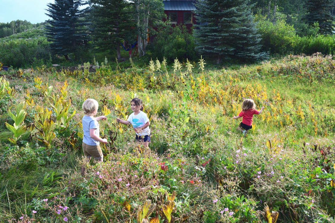 Hero: Creating a Wild Flower Journal with Kids